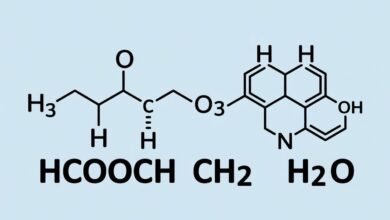 hcooch ch2 h2o