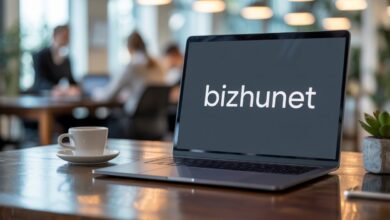 bizhunet