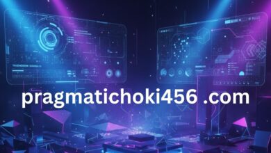 pragmatichoki456 .com